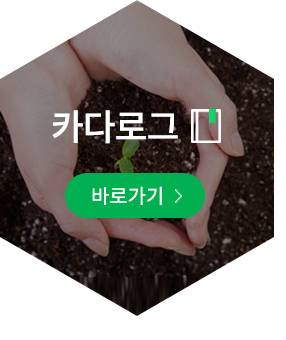 카다로그 바로가기